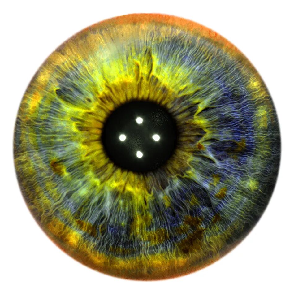 监控社会:当代艺术如何撕开“全景|《虹膜》(Iris,2021)