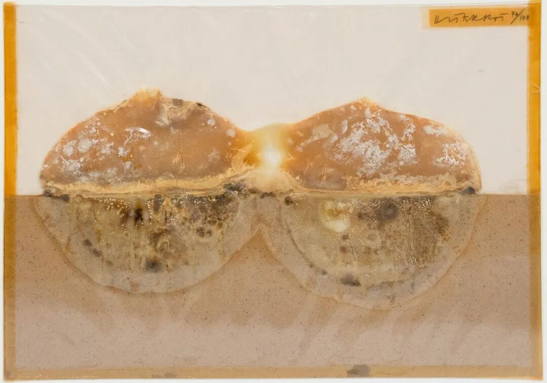 当代艺术家如何系统性展开自己的观|迪特尔·罗斯做的腐烂发霉的食物雕塑