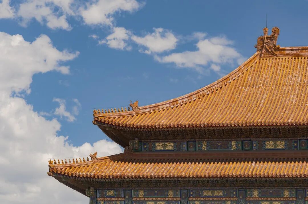 纪念阿伦特:爱世界就是坚定不移的|插图11