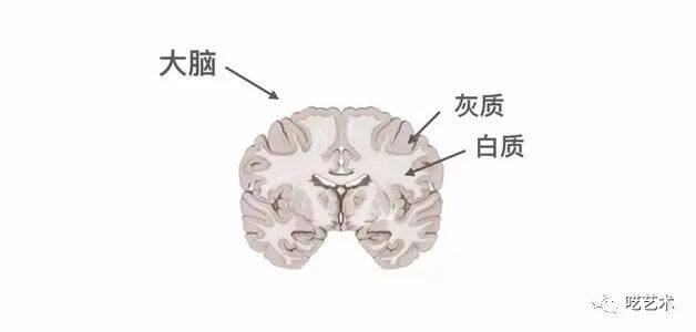在中国,女孩想平安长大到底有多难|插图5