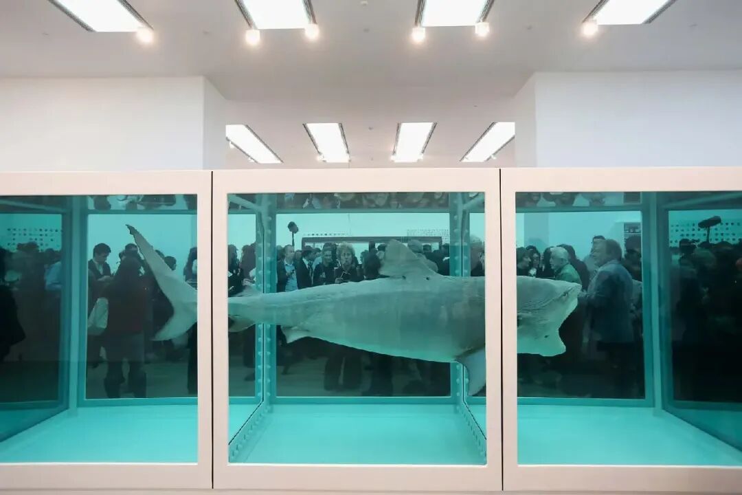 艺术市场的猎杀:资本逻辑是如何把|达明安·赫斯特(DamienHirst)作品
